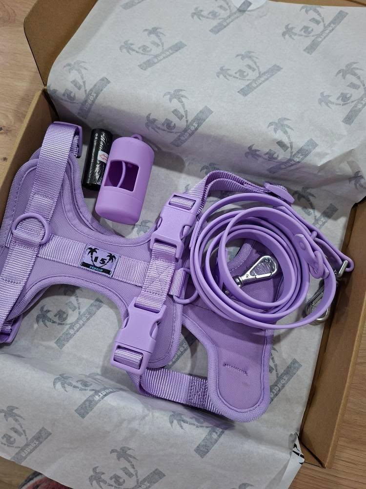Kit de paseo morado