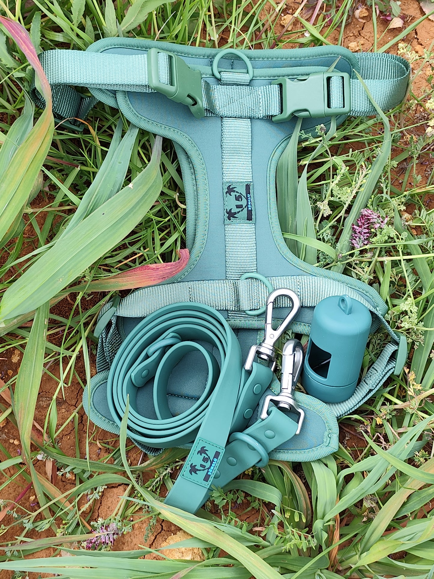 Kit de paseo verde