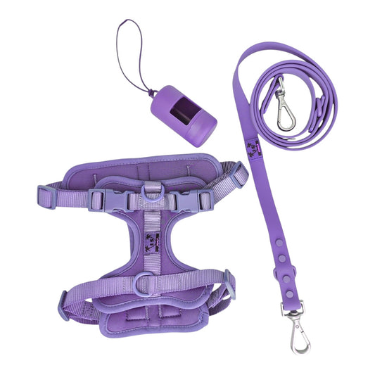 Kit de paseo morado