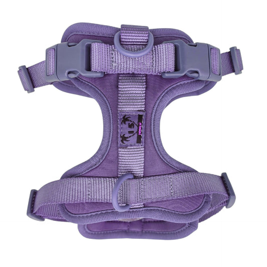 Arnés de paseo morado