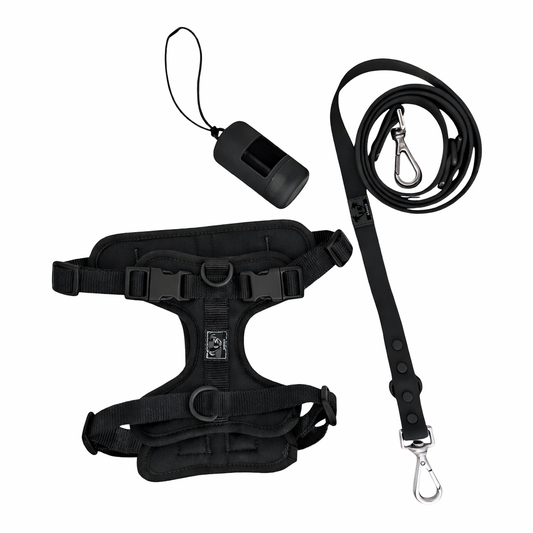 Kit de paseo negro